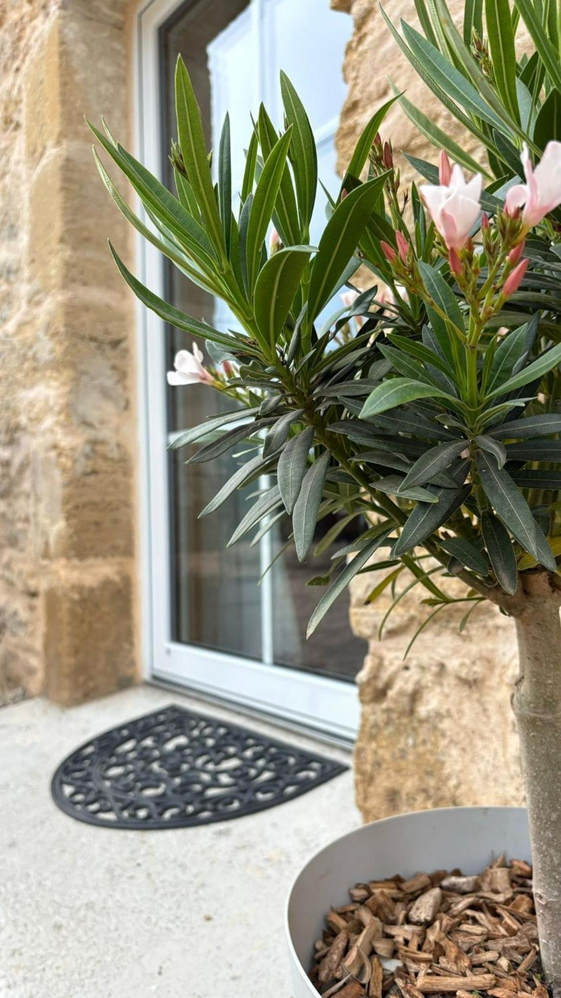 L'Atelier Detente Et Spa Caudrot Bagian luar foto